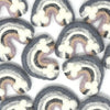Mini Gray Rainbows