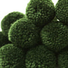 P20 - Army Green