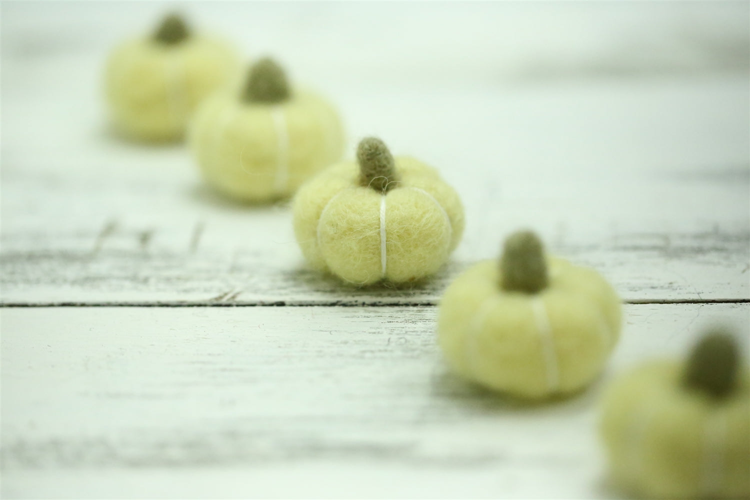 The Felt Pod