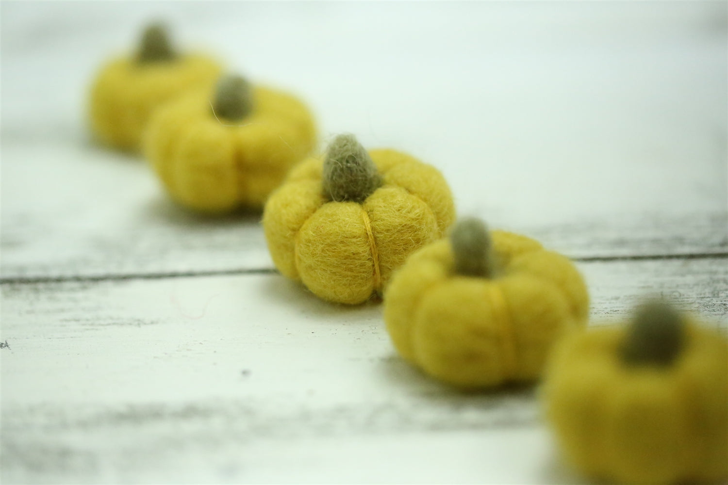 The Felt Pod