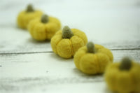 The Felt Pod