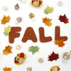 FALL Burnt Sienna Felted Letter