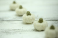 The Felt Pod