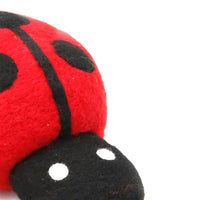 The Felt Pod