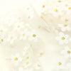 Daisy Tulle - Ivory