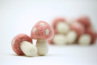 The Felt Pod