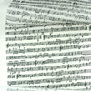 In The Press - White