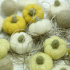 Light Pumpkin Set