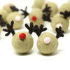 RUDOLPH