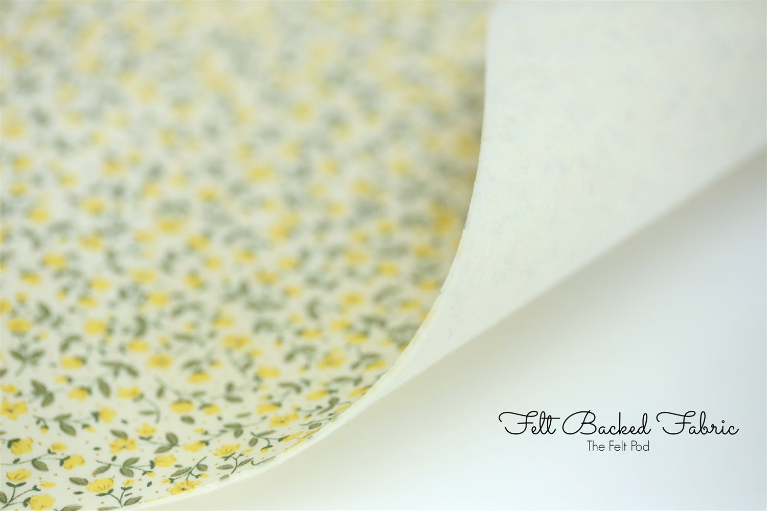 The Felt Pod