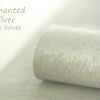 Enchanted Silver