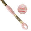 DMC Embroidery Floss - Strawberries N Cream (225)