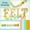 Felt Balls MIX -  Fresh Blossom